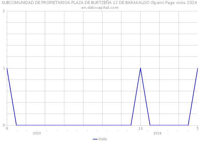 SUBCOMUNIDAD DE PROPIETARIOA PLAZA DE BURTZEÑA 12 DE BARAKALDO (Spain) Page visits 2024 