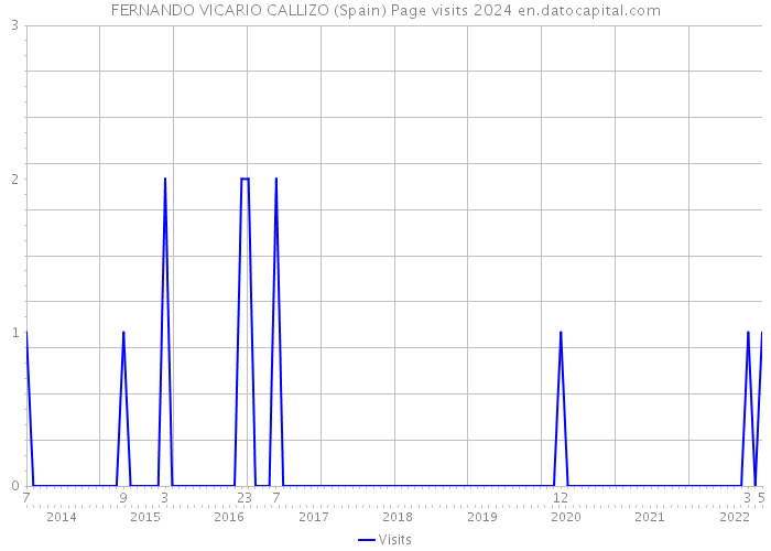FERNANDO VICARIO CALLIZO (Spain) Page visits 2024 