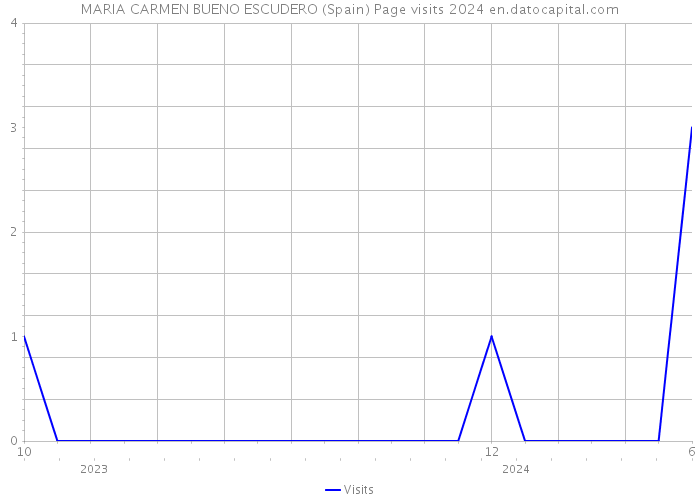 MARIA CARMEN BUENO ESCUDERO (Spain) Page visits 2024 