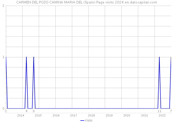 CARMEN DEL POZO CAMINA MARIA DEL (Spain) Page visits 2024 