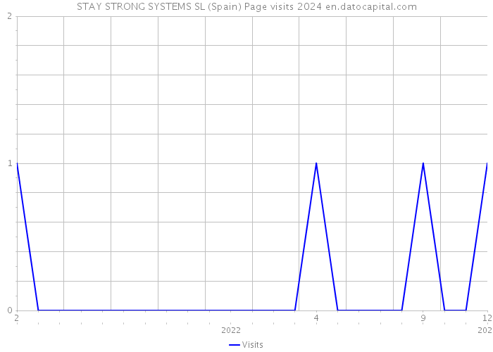 STAY STRONG SYSTEMS SL (Spain) Page visits 2024 