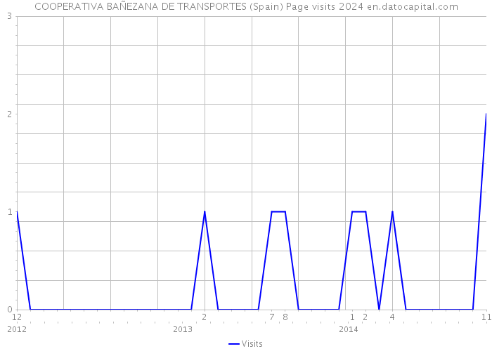 COOPERATIVA BAÑEZANA DE TRANSPORTES (Spain) Page visits 2024 