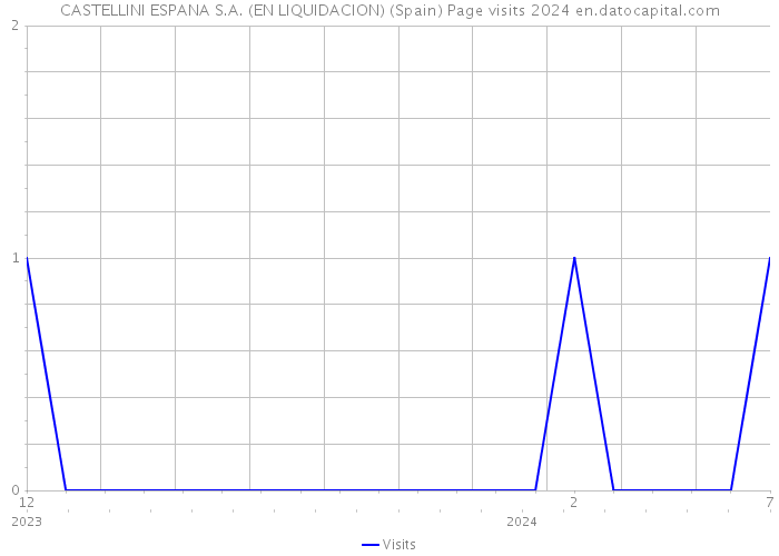 CASTELLINI ESPANA S.A. (EN LIQUIDACION) (Spain) Page visits 2024 