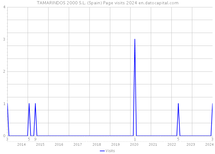 TAMARINDOS 2000 S.L. (Spain) Page visits 2024 