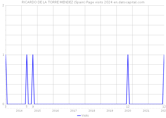 RICARDO DE LA TORRE MENDEZ (Spain) Page visits 2024 
