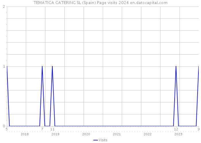 TEMATICA CATERING SL (Spain) Page visits 2024 