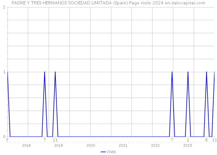 PADRE Y TRES HERMANOS SOCIEDAD LIMITADA (Spain) Page visits 2024 