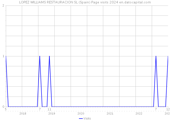 LOPEZ WILLIAMS RESTAURACION SL (Spain) Page visits 2024 