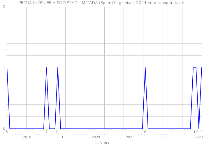 PECUA INGENIERIA SOCIEDAD LIMITADA (Spain) Page visits 2024 