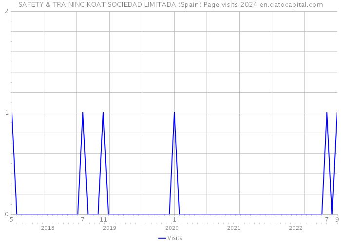 SAFETY & TRAINING KOAT SOCIEDAD LIMITADA (Spain) Page visits 2024 