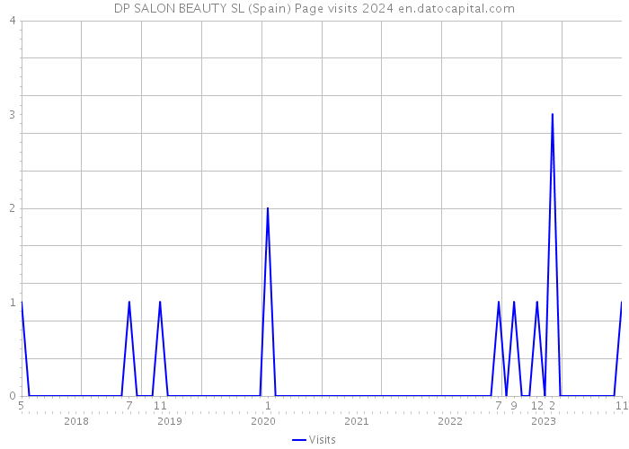 DP SALON BEAUTY SL (Spain) Page visits 2024 