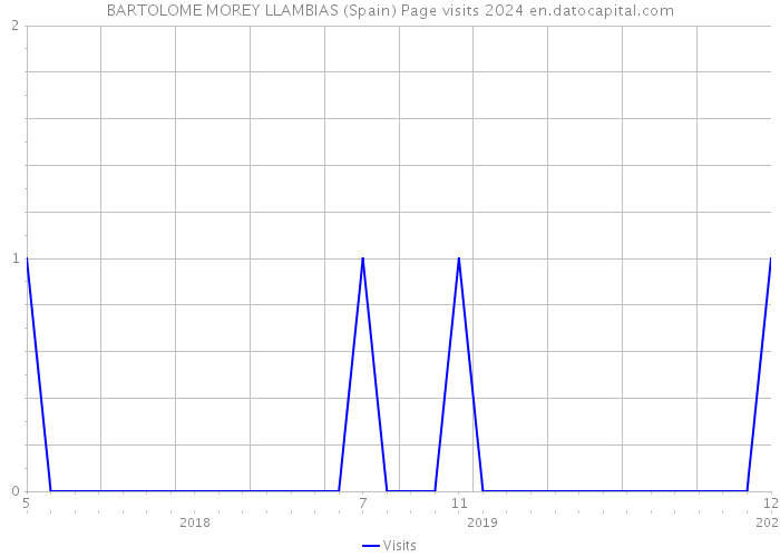 BARTOLOME MOREY LLAMBIAS (Spain) Page visits 2024 