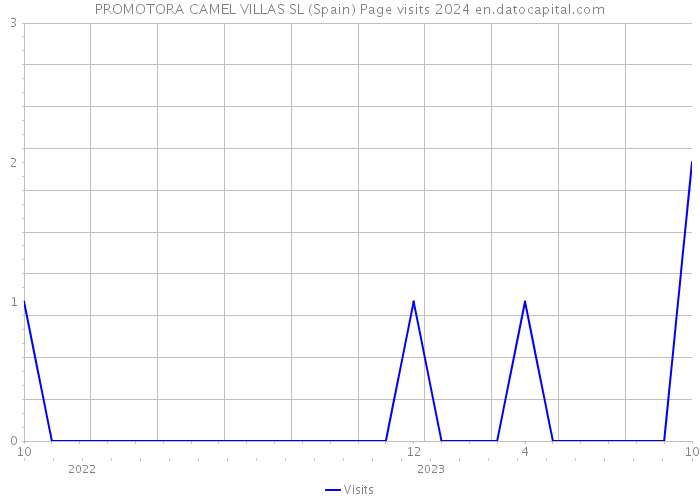 PROMOTORA CAMEL VILLAS SL (Spain) Page visits 2024 