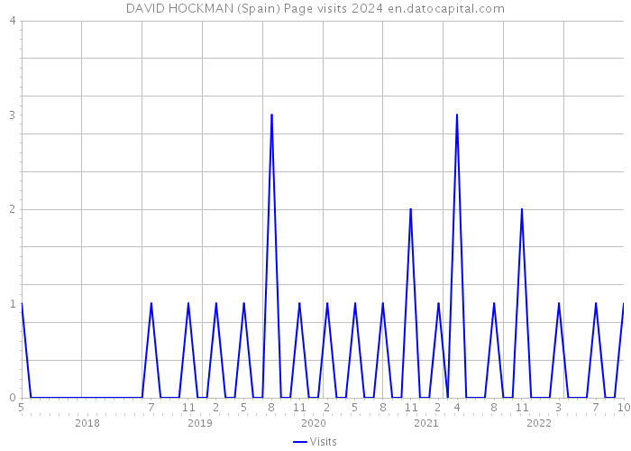 DAVID HOCKMAN (Spain) Page visits 2024 