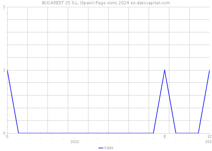 BUCAREST 25 S.L. (Spain) Page visits 2024 