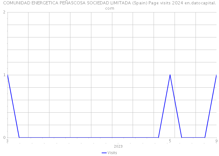 COMUNIDAD ENERGETICA PEÑASCOSA SOCIEDAD LIMITADA (Spain) Page visits 2024 