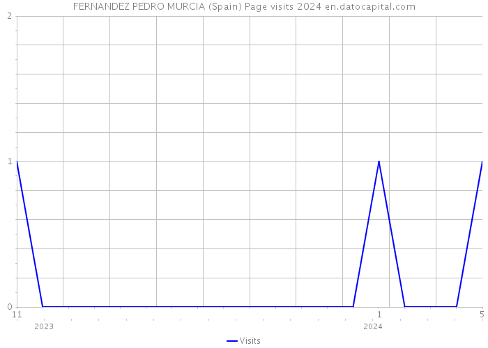 FERNANDEZ PEDRO MURCIA (Spain) Page visits 2024 