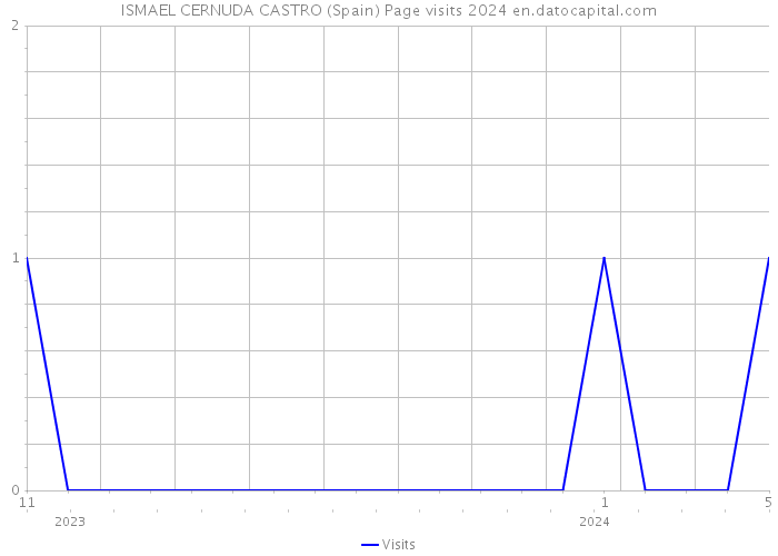 ISMAEL CERNUDA CASTRO (Spain) Page visits 2024 