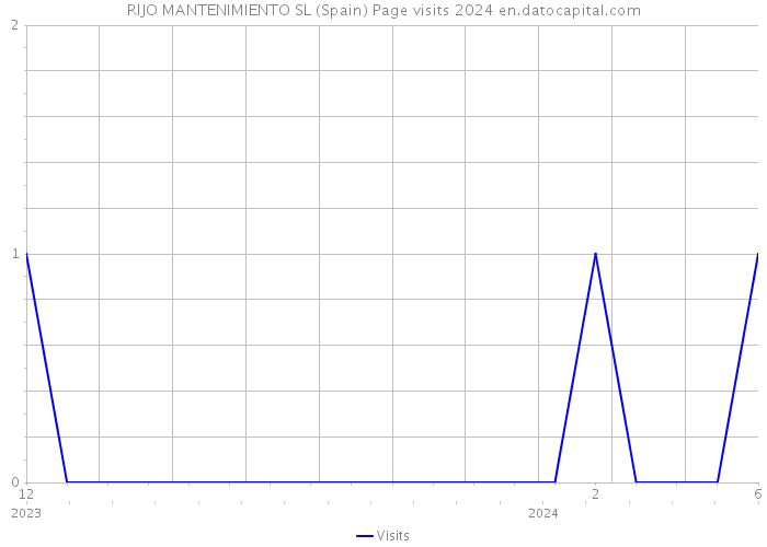 RIJO MANTENIMIENTO SL (Spain) Page visits 2024 