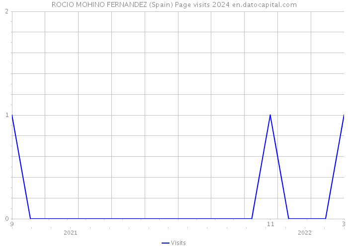 ROCIO MOHINO FERNANDEZ (Spain) Page visits 2024 
