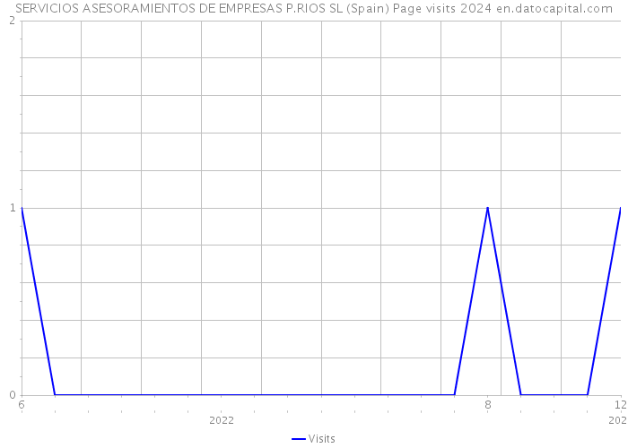 SERVICIOS ASESORAMIENTOS DE EMPRESAS P.RIOS SL (Spain) Page visits 2024 