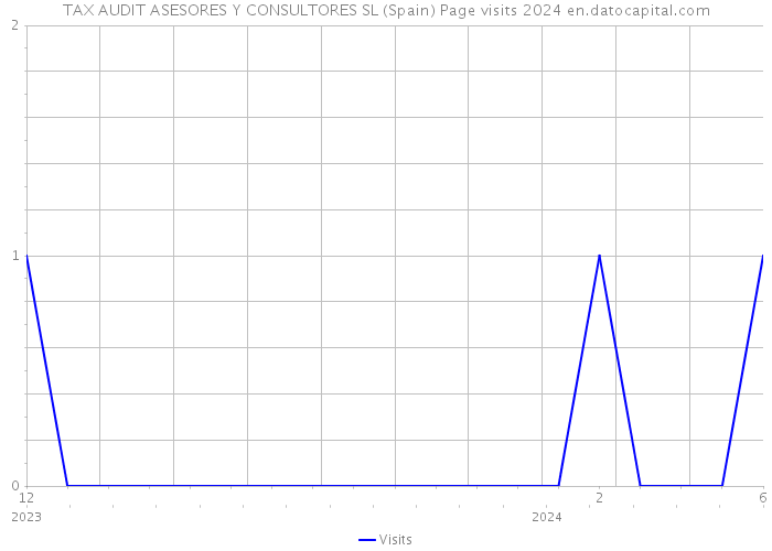 TAX AUDIT ASESORES Y CONSULTORES SL (Spain) Page visits 2024 