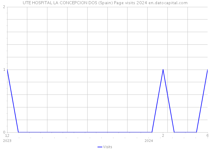UTE HOSPITAL LA CONCEPCION DOS (Spain) Page visits 2024 