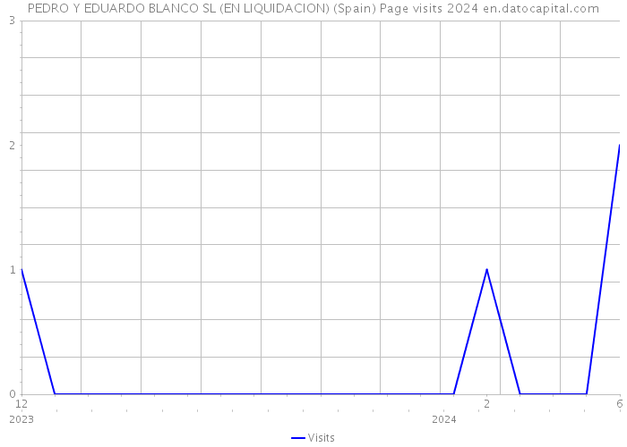 PEDRO Y EDUARDO BLANCO SL (EN LIQUIDACION) (Spain) Page visits 2024 