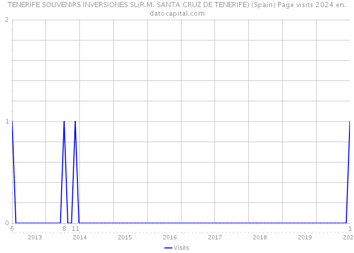 TENERIFE SOUVENIRS INVERSIONES SL(R.M. SANTA CRUZ DE TENERIFE) (Spain) Page visits 2024 