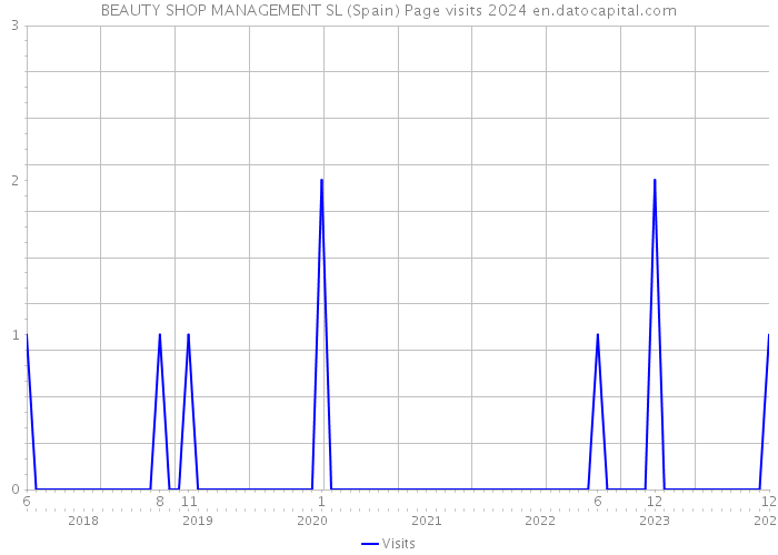 BEAUTY SHOP MANAGEMENT SL (Spain) Page visits 2024 