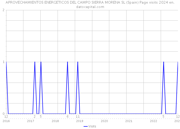 APROVECHAMIENTOS ENERGETICOS DEL CAMPO SIERRA MORENA SL (Spain) Page visits 2024 