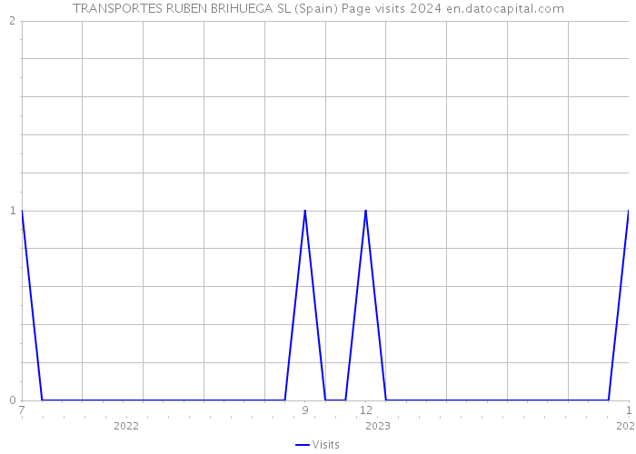 TRANSPORTES RUBEN BRIHUEGA SL (Spain) Page visits 2024 