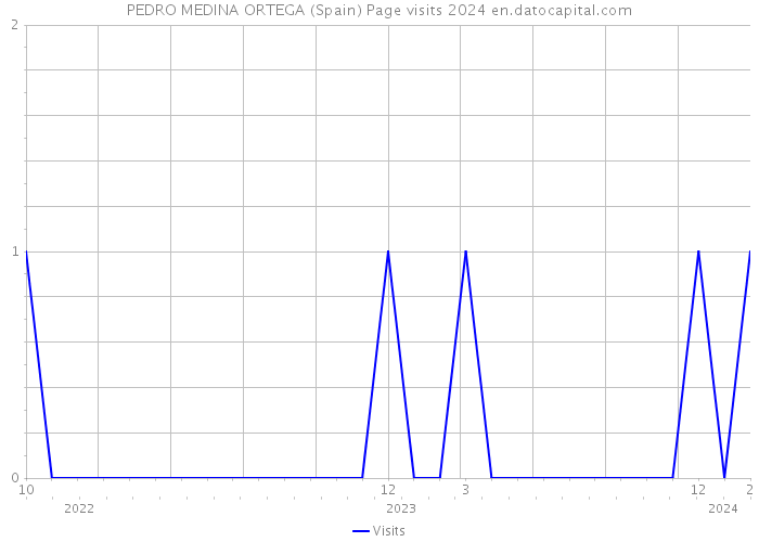 PEDRO MEDINA ORTEGA (Spain) Page visits 2024 