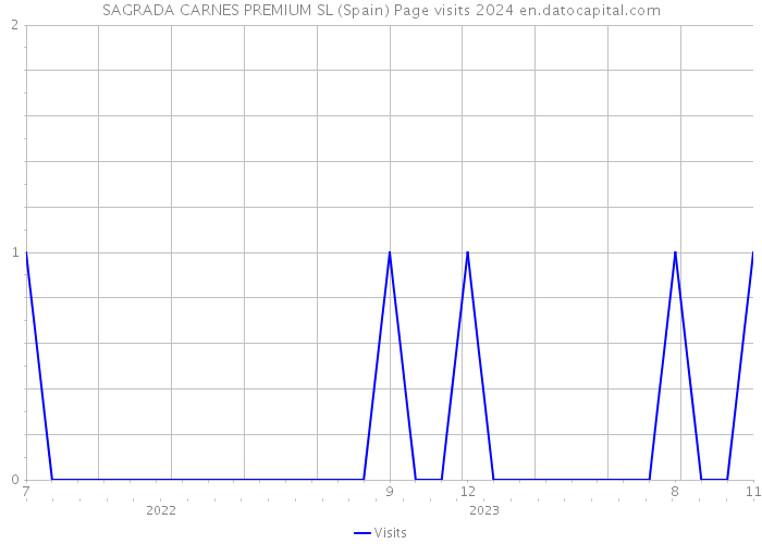 SAGRADA CARNES PREMIUM SL (Spain) Page visits 2024 
