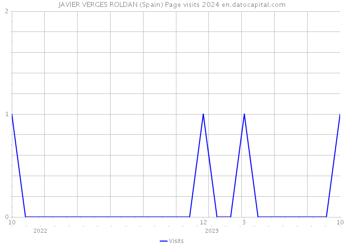 JAVIER VERGES ROLDAN (Spain) Page visits 2024 