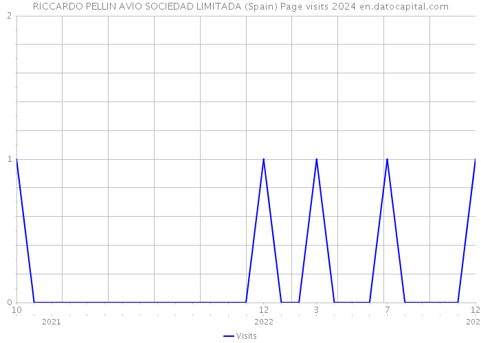 RICCARDO PELLIN AVIO SOCIEDAD LIMITADA (Spain) Page visits 2024 