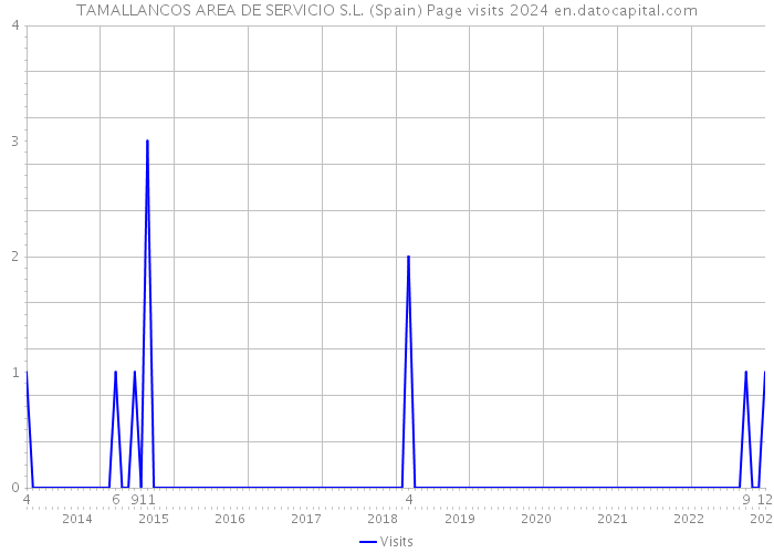 TAMALLANCOS AREA DE SERVICIO S.L. (Spain) Page visits 2024 