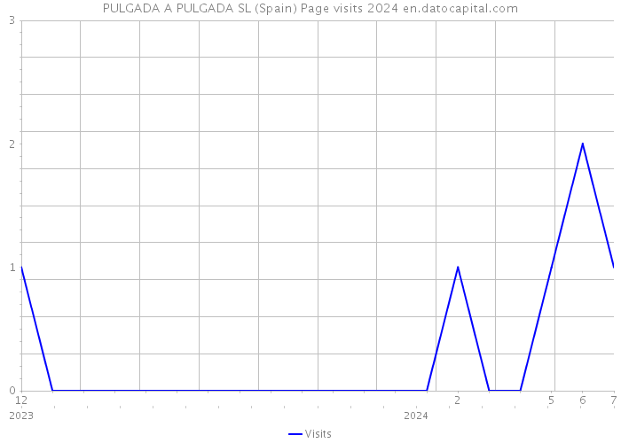 PULGADA A PULGADA SL (Spain) Page visits 2024 