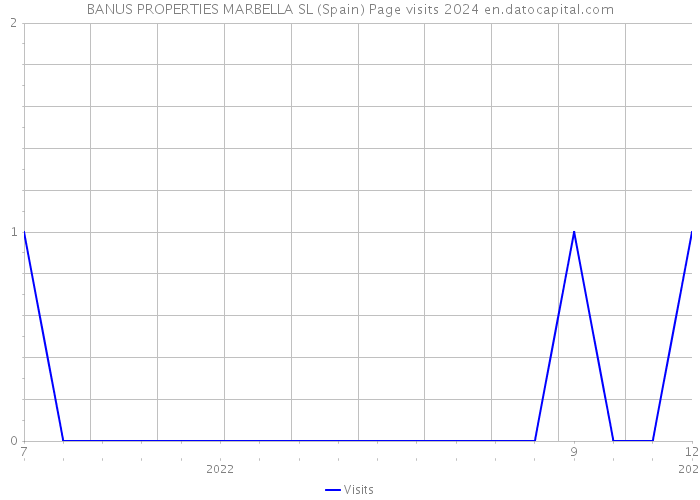 BANUS PROPERTIES MARBELLA SL (Spain) Page visits 2024 