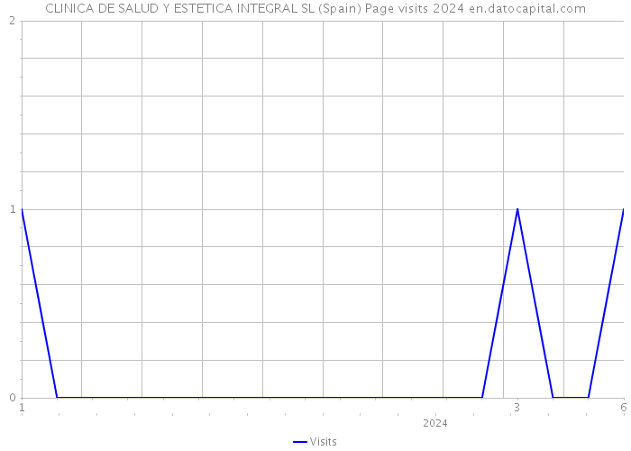 CLINICA DE SALUD Y ESTETICA INTEGRAL SL (Spain) Page visits 2024 