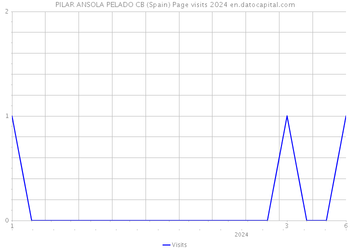 PILAR ANSOLA PELADO CB (Spain) Page visits 2024 