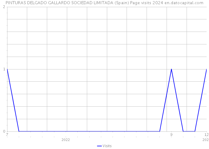 PINTURAS DELGADO GALLARDO SOCIEDAD LIMITADA (Spain) Page visits 2024 