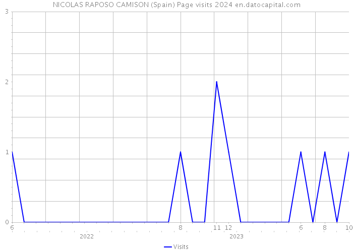 NICOLAS RAPOSO CAMISON (Spain) Page visits 2024 