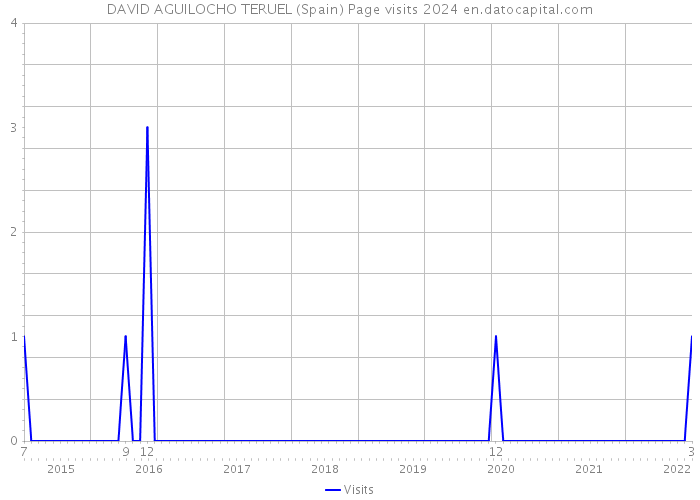 DAVID AGUILOCHO TERUEL (Spain) Page visits 2024 