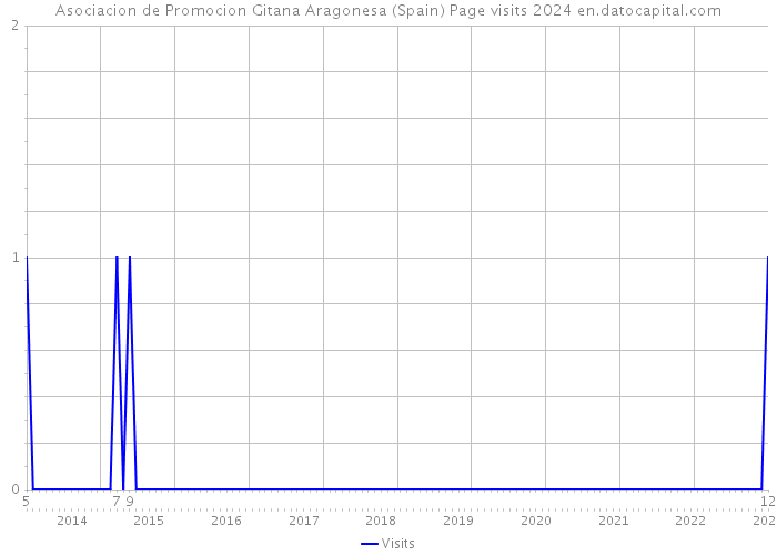 Asociacion de Promocion Gitana Aragonesa (Spain) Page visits 2024 