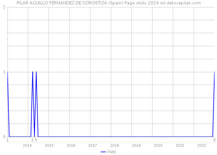 PILAR AGUILLO FERNANDEZ DE GOROSTIZA (Spain) Page visits 2024 