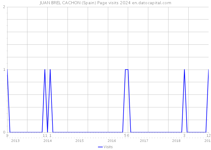 JUAN BREL CACHON (Spain) Page visits 2024 