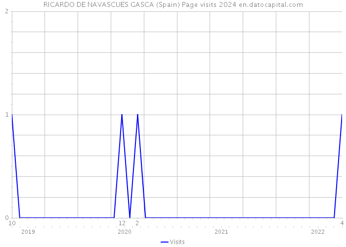 RICARDO DE NAVASCUES GASCA (Spain) Page visits 2024 