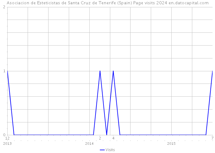 Asociacion de Esteticistas de Santa Cruz de Tenerife (Spain) Page visits 2024 