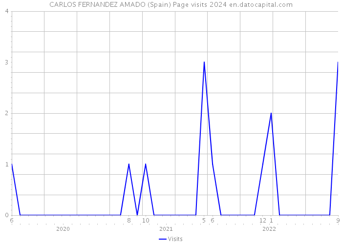 CARLOS FERNANDEZ AMADO (Spain) Page visits 2024 